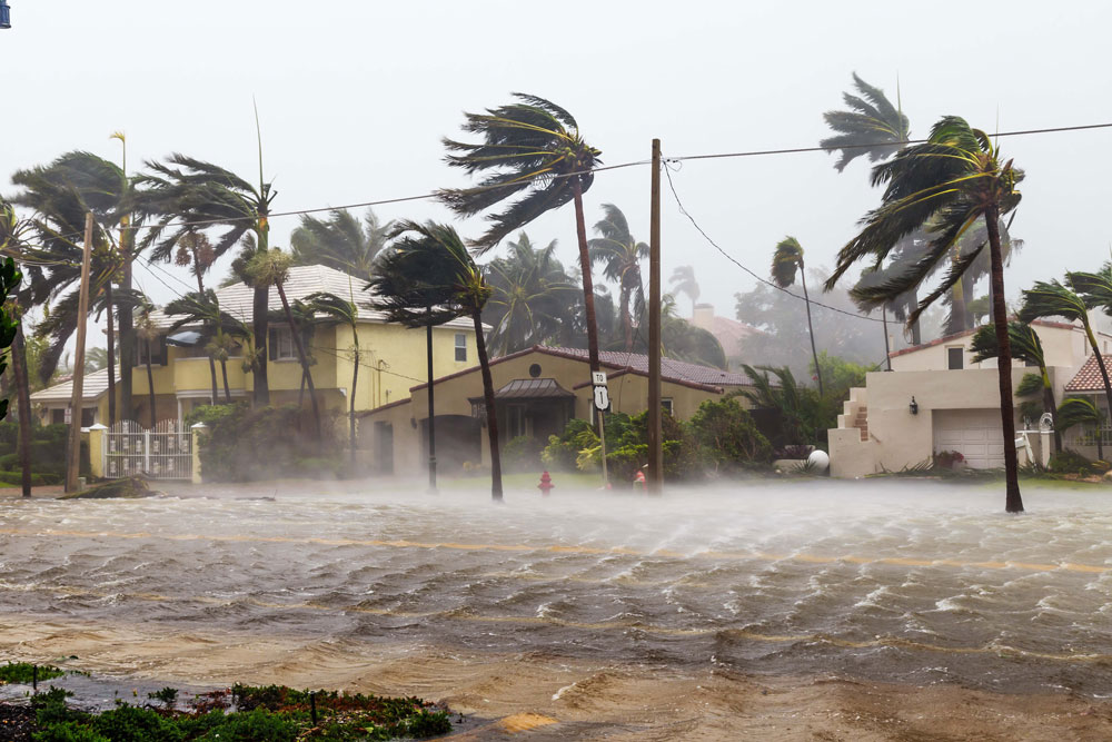 Constructing A Plan For Hurricane Preparedness